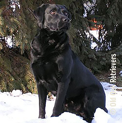 archie-greenbriar-hastings Archie Greenbriar Hastings